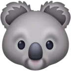 कोअला