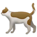 ネコ