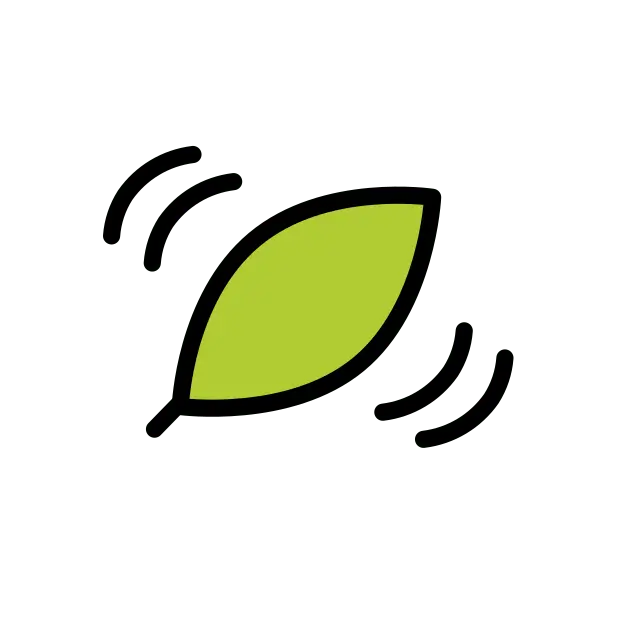 Leaf Fluttering In Wind
