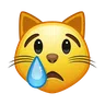 Crying Cat