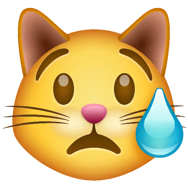 Crying Cat