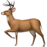 กวาง Emoji 🦌 image - Apple style