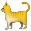 ネコ
