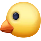 ลูกไก่