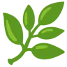 Emoji Növény 🌿 image - Google Noto Color style
