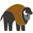 bizon