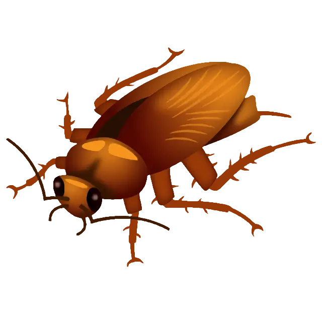 Cockroach