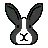 Cara de coelho