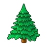 Albero sempreverde