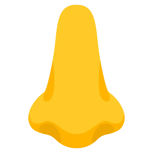 鼻