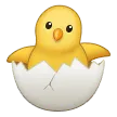 ฟักไข่ไก่