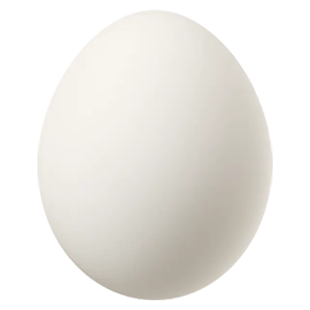 Egg