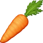 Carrot
