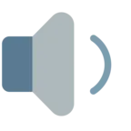 Speaker Medium Volume