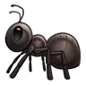 Ant