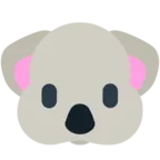 कोअला