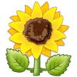 Napraforgó