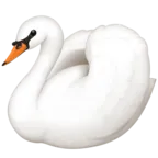 Schwan