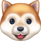 강아지 얼굴