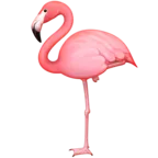 Flamingó