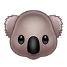 कोअला