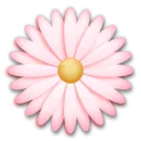 꽃