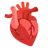 Anatómiai szív
