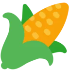 Ear Of Corn