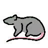 Rata Emoji 🐀 image - OpenMoji style