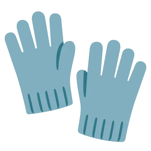 Gloves
