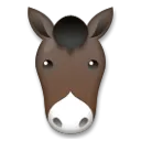 馬の顔