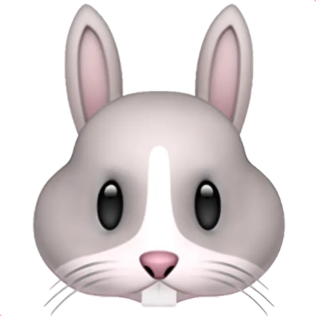 うさぎの顔