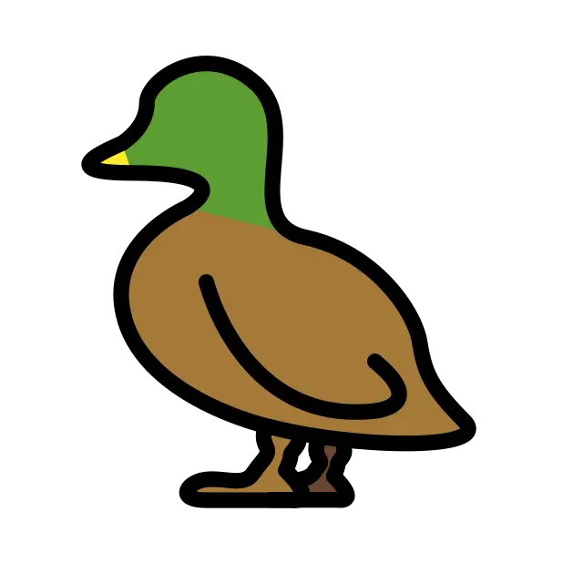 Duck