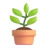 Emoji Cserepes növény 🪴 image - Microsoft 3D Fluent style