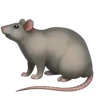 Rata Emoji 🐀 image - Apple style