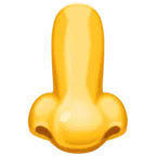 鼻