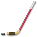 Jégkorong bot és korong