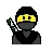 Ninja