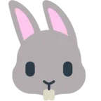 うさぎの顔