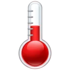 Thermometer