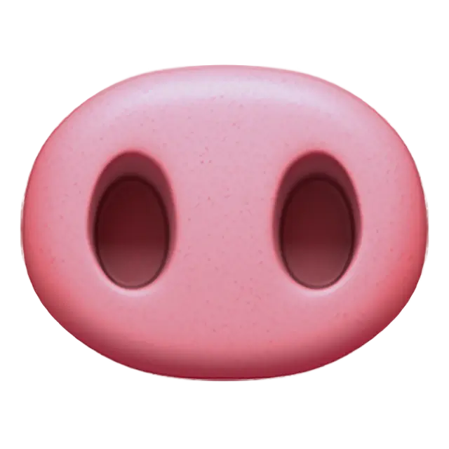 Pig Nose