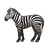 Zebra față