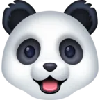 Panda arca