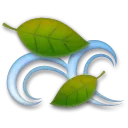 Leaf Fluttering In Wind