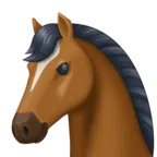 馬の顔