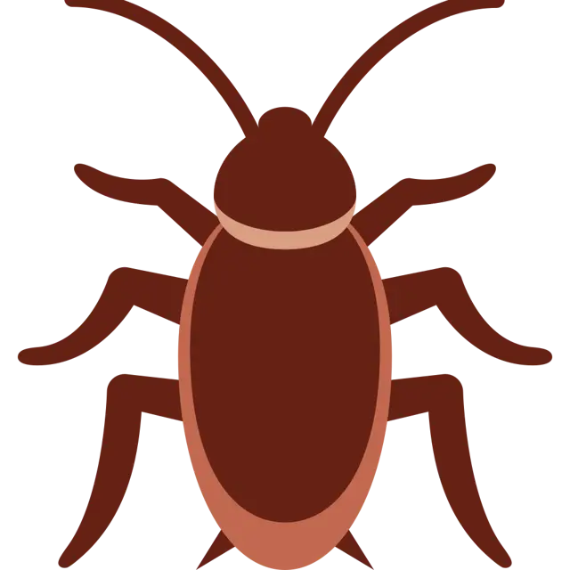 Cockroach