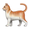 ネコ