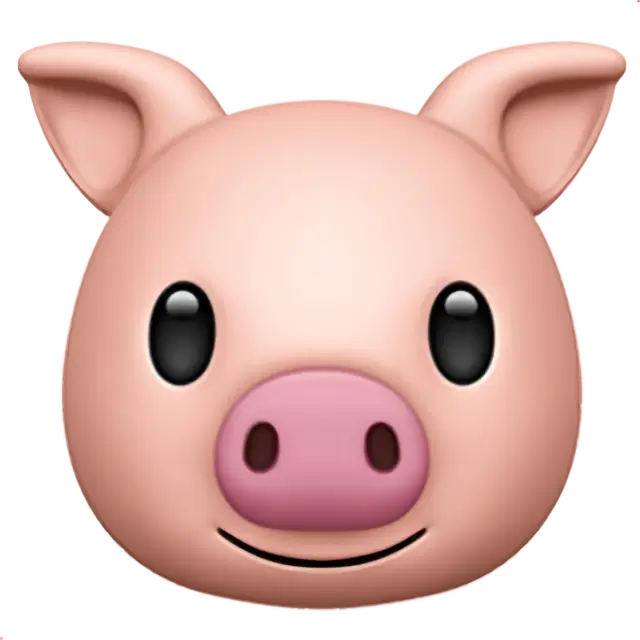 Pig Face