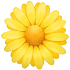 꽃