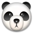 Panda arca